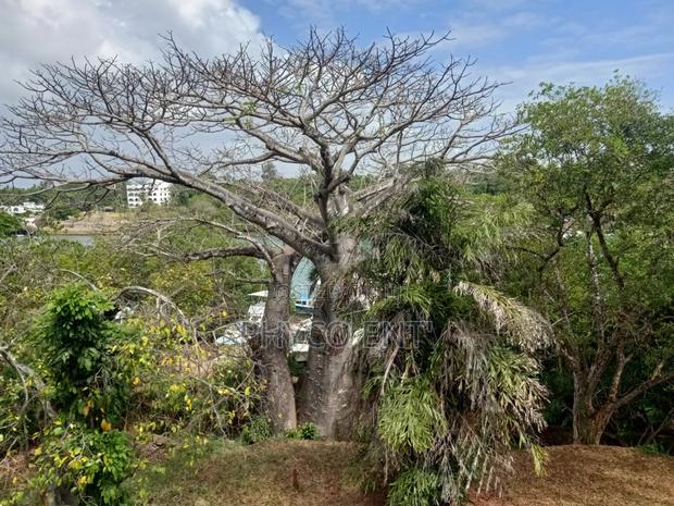 Plot for Sale Shanzu Creek Opposite La Marina - thumbnail 2