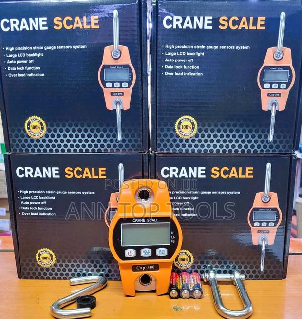 300kg Crane Scale - main view