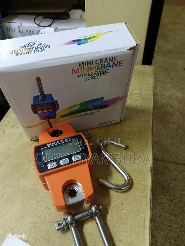 300kg Digital Balance Scale/ Crane Weighing Scale