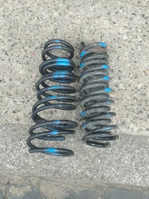BMW X1 Heavy Duty Springs
