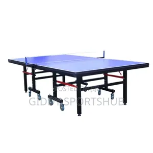 Table Tennis Table
