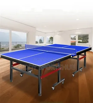 Table Tennis Table