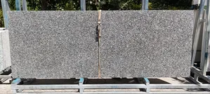 Gyandolla Island Granite(8ft * 2.9ft * 18mm)