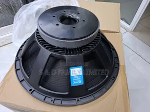 Derwel 18 Inch Naked Bass Speaker