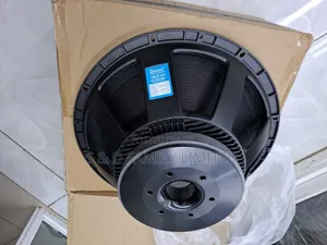 Derwel 18 Inch Naked Bass Speaker