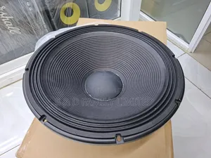 Derwel 18 Inch Naked Bass Speaker