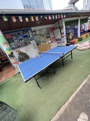 Premium Foldable Table Tennis