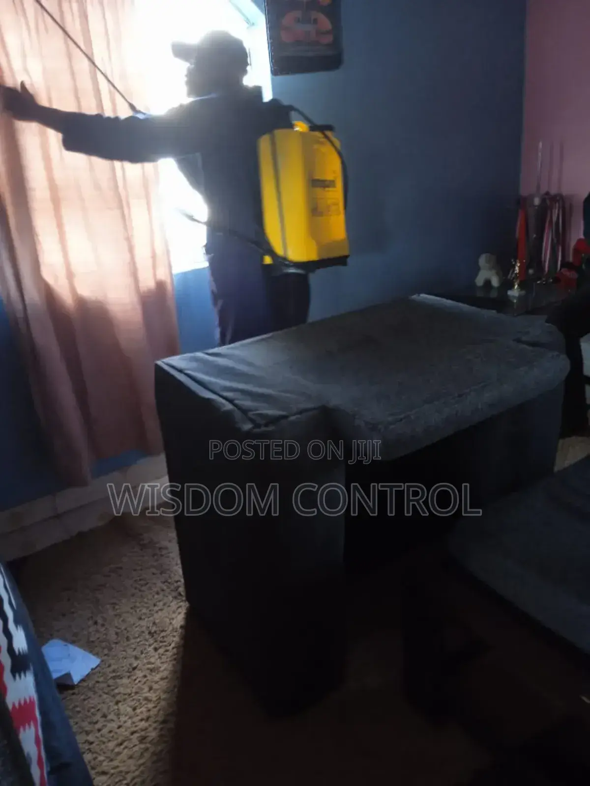 Fumigation Service