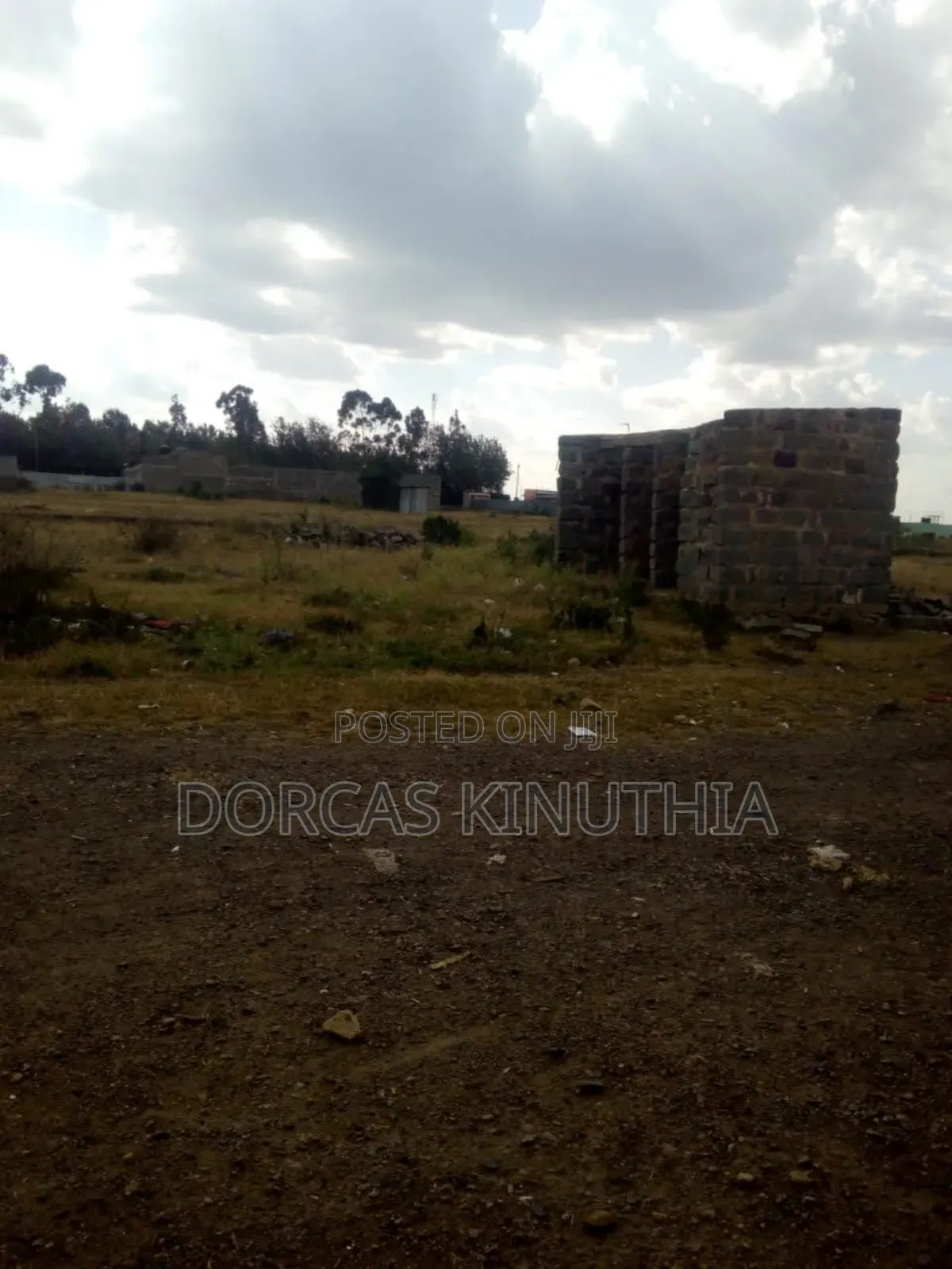 Selling a Plot 50*100 at Birika Town