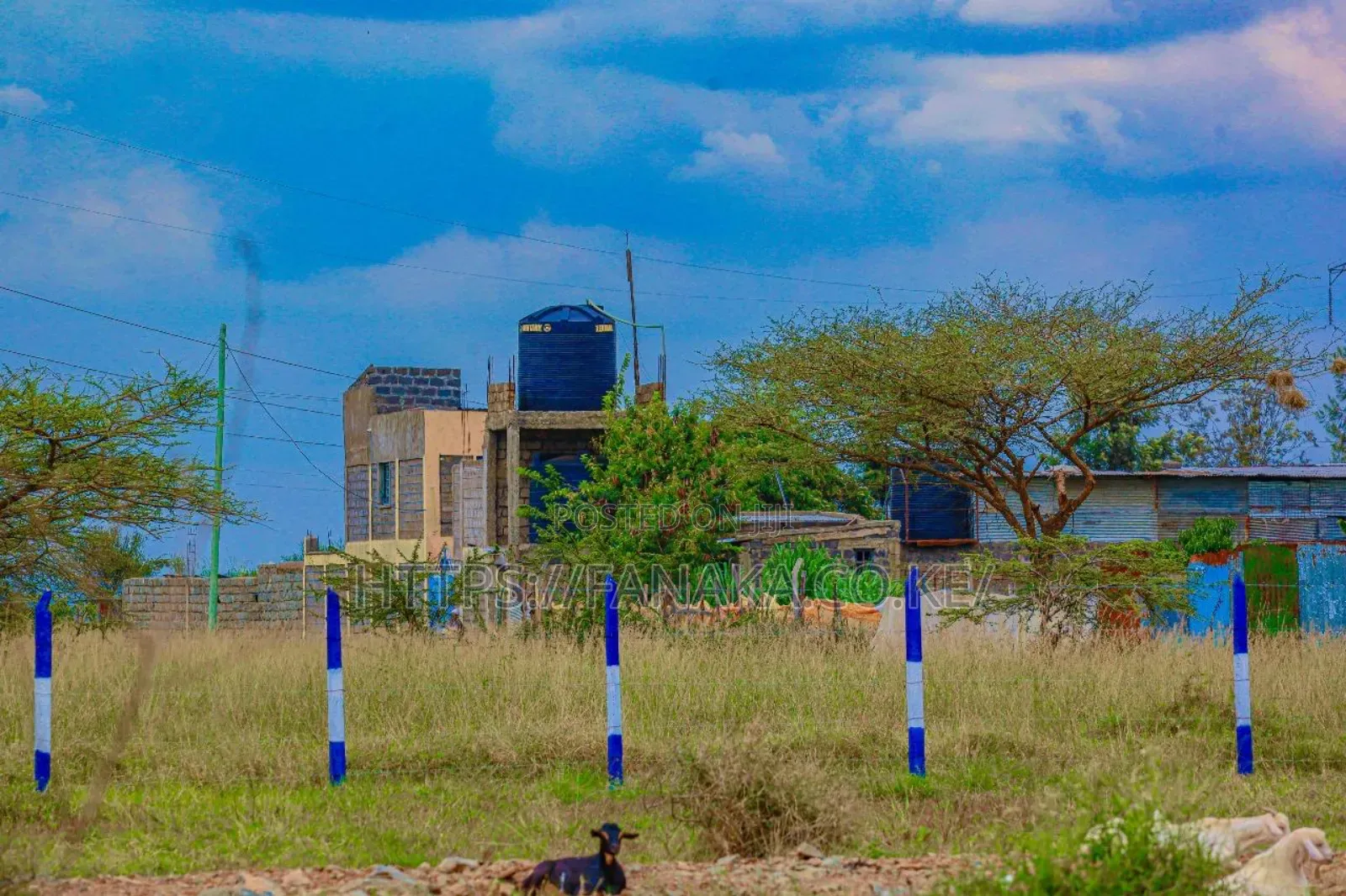 Ruiru Under Million ^SJ