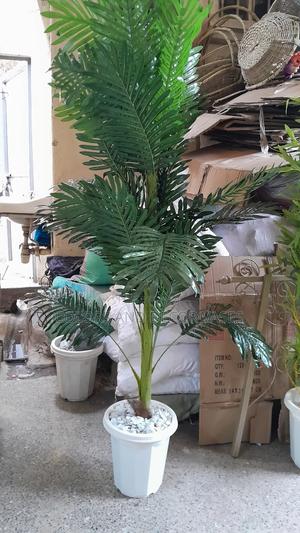 1.5m Palm Tree With Vase Ksh - thumbnail 2