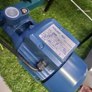 Service Pump