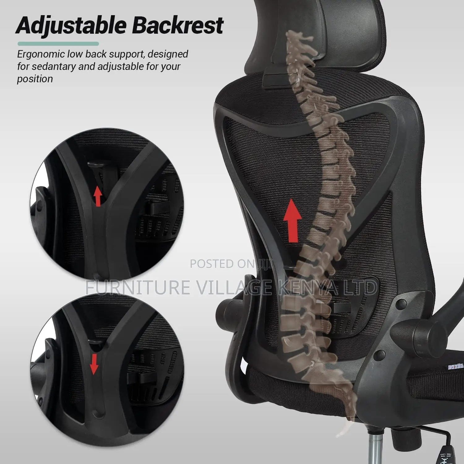 Premium Ergonomic Office Chair