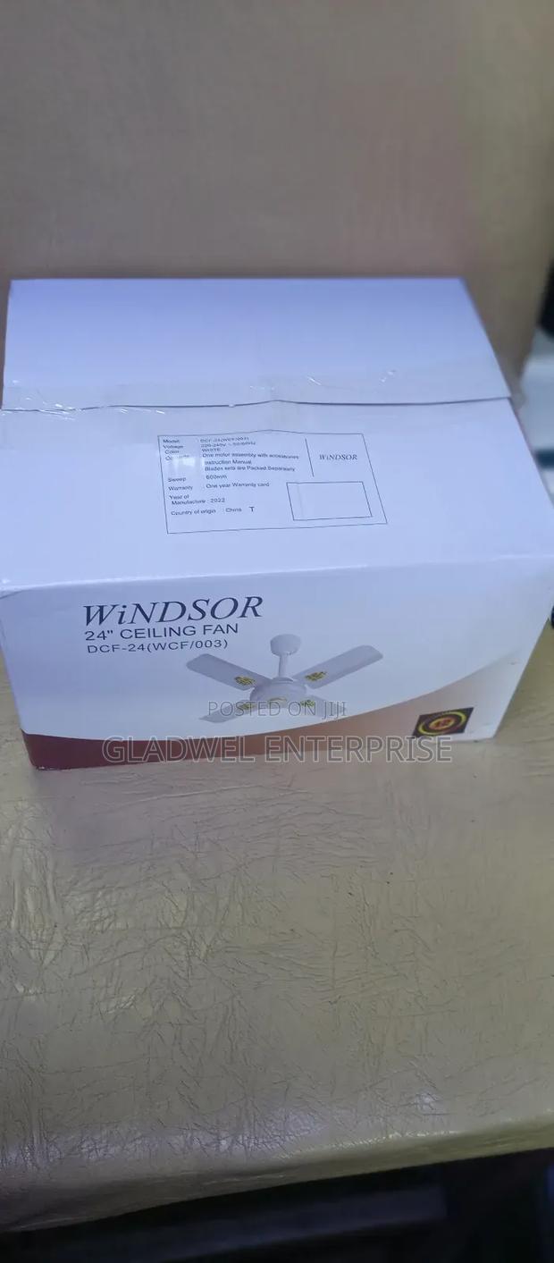 Ceiling Fan - main view