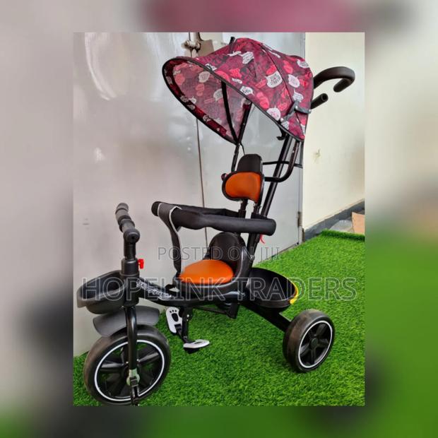 Tricycle With Canopy - main view