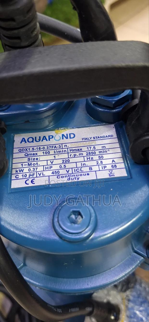 Aquapond 1hp Submersible Pump - thumbnail 3