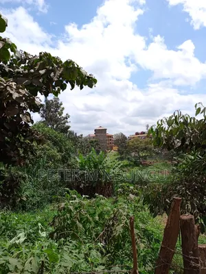Kiamumbi Pime 100*100, Title