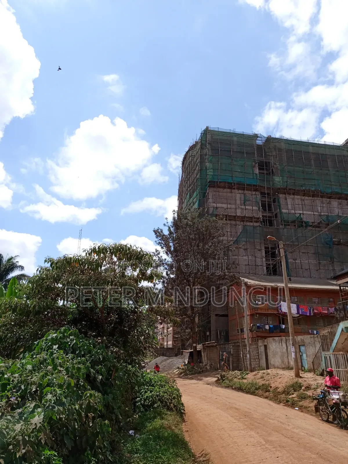 Kiamumbi Pime 100*100, Title