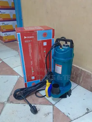 Long Lasting 2hp Premier Submersible Water Pump, 28m Head .