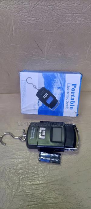 Hanging Scale - thumbnail 2