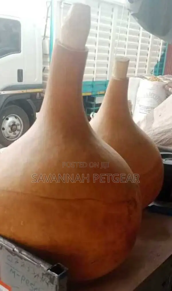 The Gourd for Storing and Fermenting Gruel, Muratina + Cork
