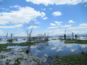 25 Acres of Land in Lake Naivasha