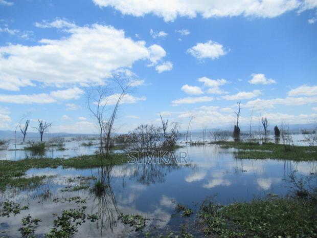 25 Acres of Land in Lake Naivasha - thumbnail 3