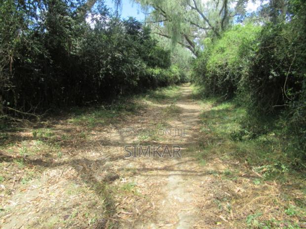 25 Acres of Land in Lake Naivasha - thumbnail 4