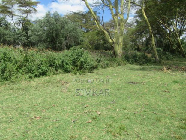 25 Acres of Land in Lake Naivasha - thumbnail 5