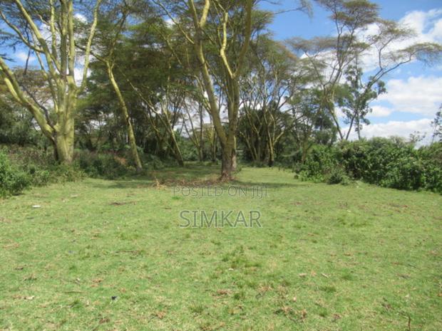 25 Acres of Land in Lake Naivasha - thumbnail 12