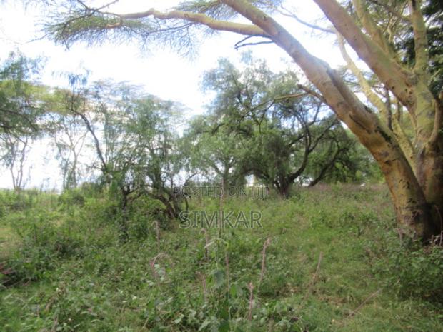 25 Acres of Land in Lake Naivasha - thumbnail 10