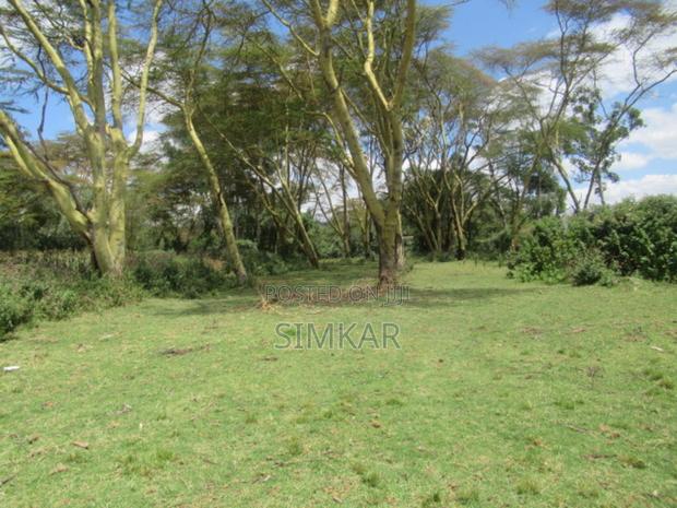 25 Acres of Land in Lake Naivasha - thumbnail 13