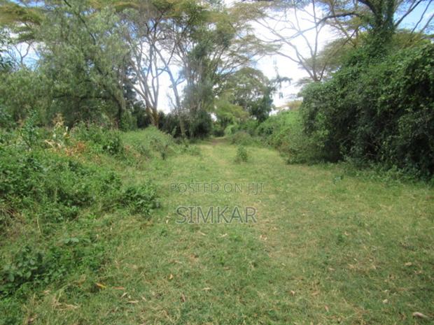 25 Acres of Land in Lake Naivasha - thumbnail 11