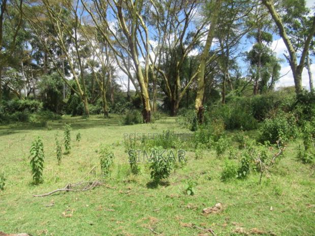 25 Acres of Land in Lake Naivasha - thumbnail 14