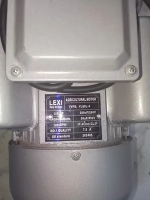 Agricultural Motor 2 Hp Made in Italy.