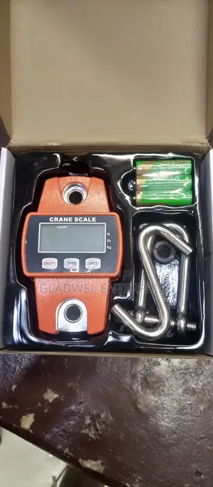 Crane Scale