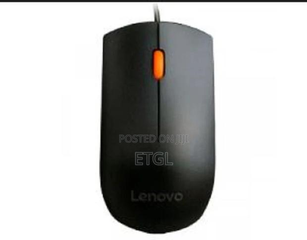 Lenovo 300 Wired USB Mouse - Black - GX30M39704