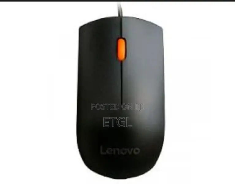 Lenovo 300 Wired USB Mouse - Black - GX30M39704
