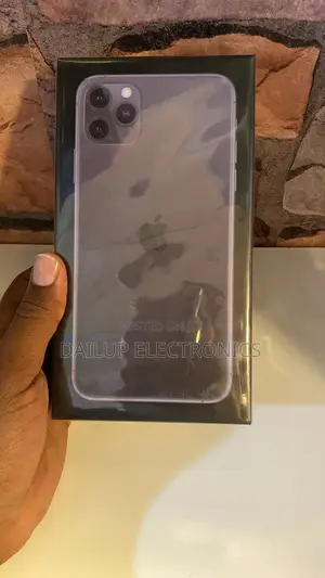 New Apple iPhone 11 Pro Max 256 GB Gray
