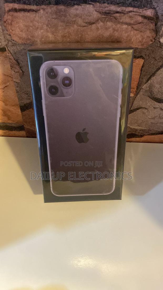 New Apple iPhone 11 Pro Max 256 GB Gray - thumbnail 3
