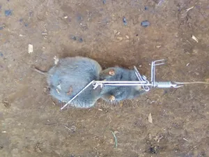 Stainless Steel Mole Trap/ Gorphinator