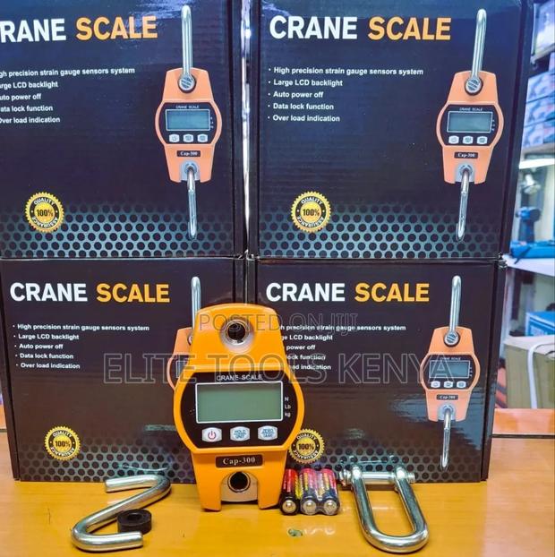 300kg Crane Scale - main view