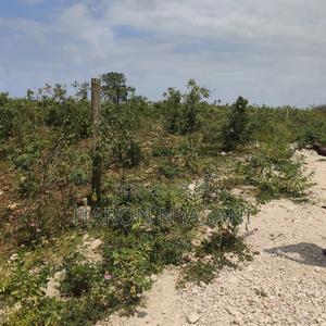 Plots for Sale. 50*100. Location Kilifi North (Tezo) - thumbnail 2