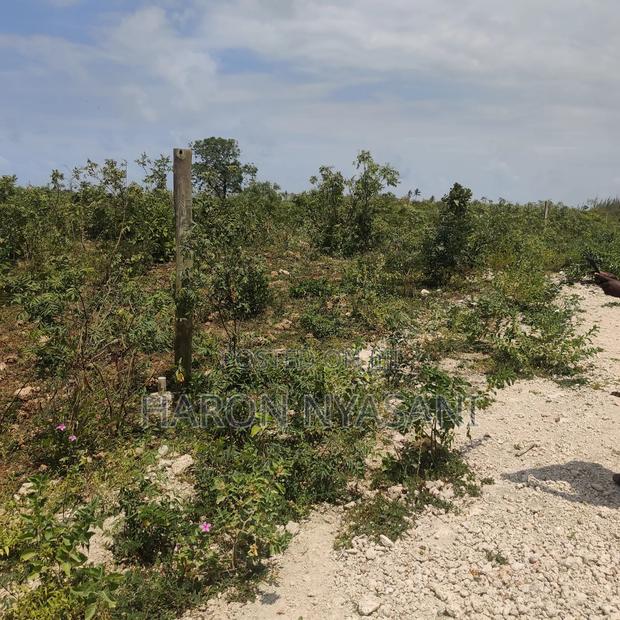 Plots for Sale. 50*100. Location Kilifi North (Tezo)