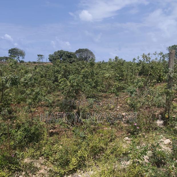 Plots for Sale. 50*100. Location Kilifi North (Tezo) - thumbnail 3