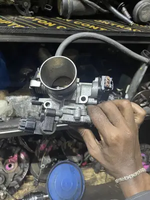 Throtle Body for Probox