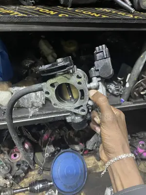 Throtle Body for Probox