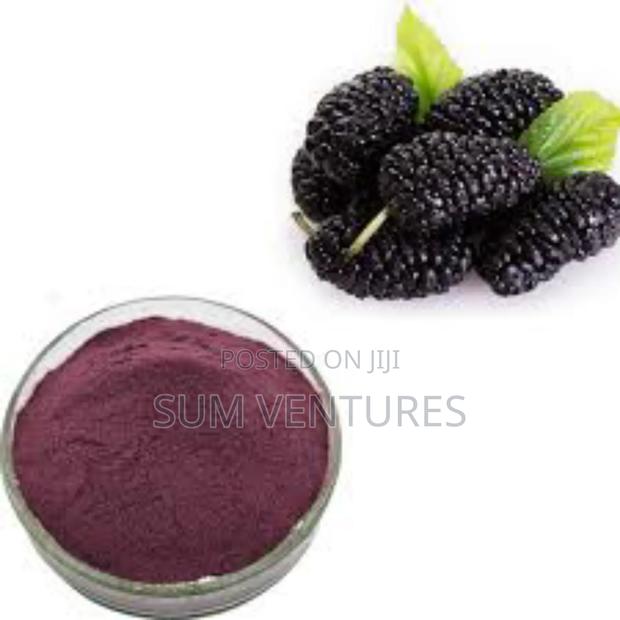 Mulberry Extract Powder - main view