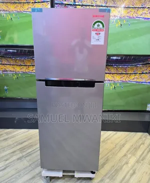 Samsung 210 Liters Double Door Fridge No Frost - Silver