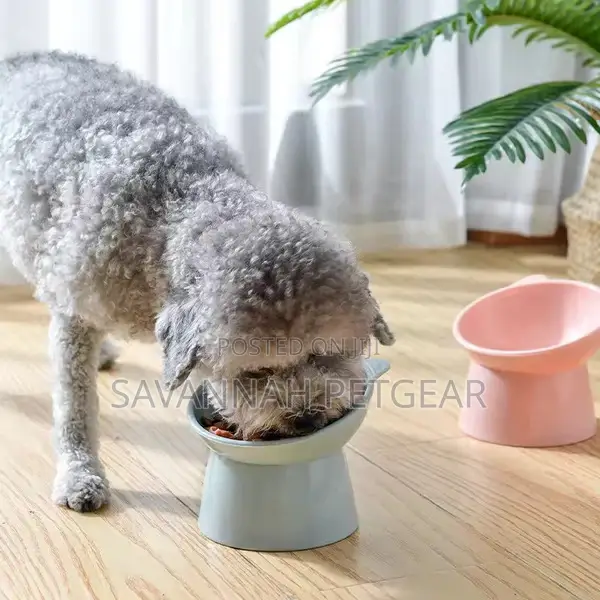 Oblique Wide Mouth Elevated Pet Bowl for Cats Dogs